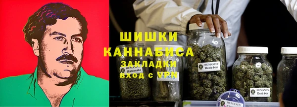 PSILOCYBIN Абдулино