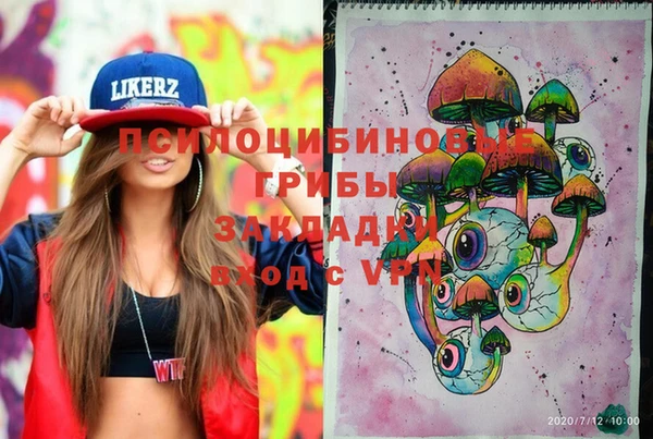 PSILOCYBIN Абдулино