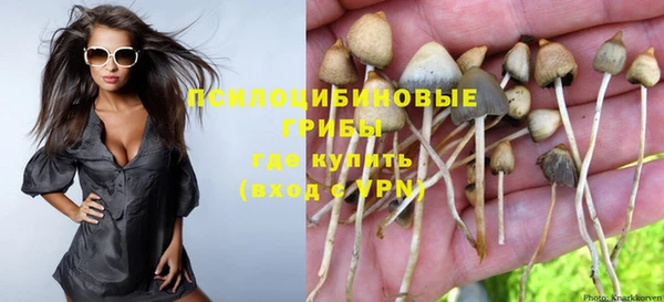 винт Абинск