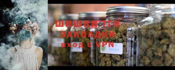 PSILOCYBIN Абдулино