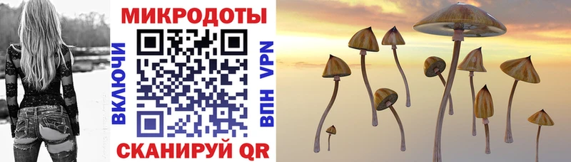Галлюциногенные грибы Psilocybine cubensis  это клад  Вытегра  hydra  