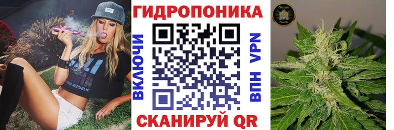 Каннабис семена  где продают наркотики  ссылка на мегу сайт  Вытегра 